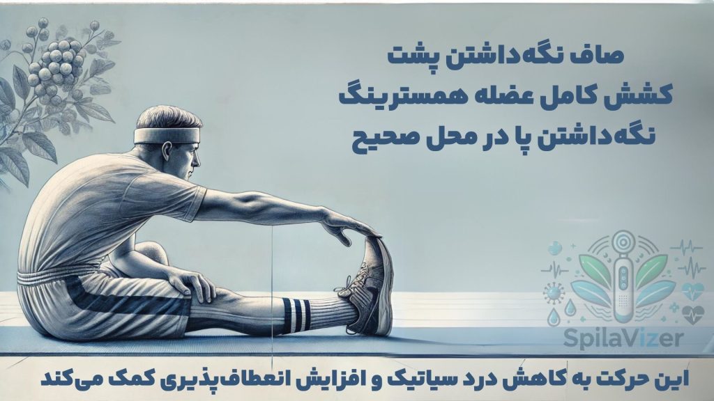 صویر آموزشی نشاندهنده مراحل مختلف حرکت کشش همسترینگ (Hamstring Stretch) شامل کشش نشسته، ایستاده و دراز کشیده با استفاده از باند. این تصویر توسط یک مرد در محیطی ساده و تمیز، مانند سالن ورزشی یا فضای خانه، اجرا میشود. این تصویر جزئیات لازم برای انجام صحیح این تمرینات را با برچسبهای مشخص برای هر حالت ارائه میدهد